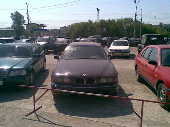 1997 BMW 5-Series Pictures