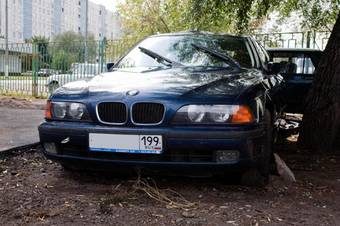 1997 BMW 5-Series Pictures