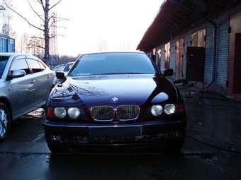 1998 BMW 5-Series Pictures