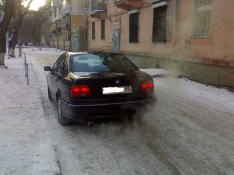 1998 BMW 5-Series Photos