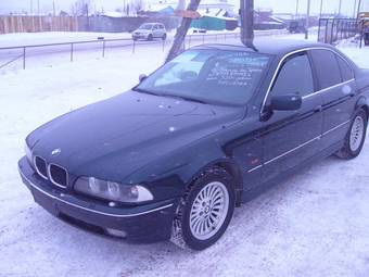 1998 BMW 5-Series Pictures