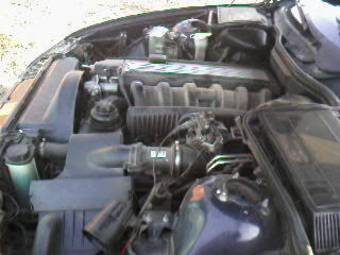 1998 BMW 5-Series Pictures