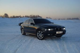 1998 BMW 5-Series Photos