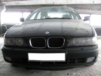 1999 BMW 5-Series Photos