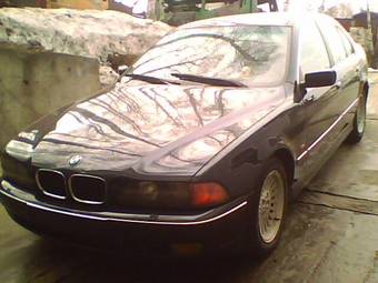 1999 BMW 5-Series Pictures