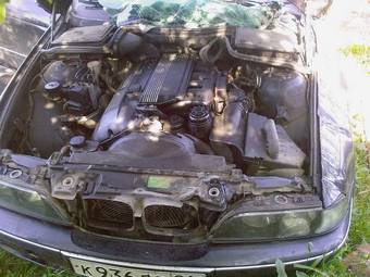 1999 BMW 5-Series Pics