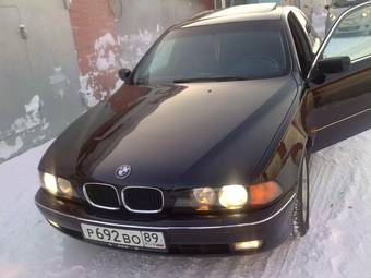 1999 BMW 5-Series Pictures