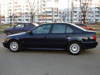 2000 BMW 5-Series Photos