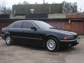 2000 BMW 5-Series Photos