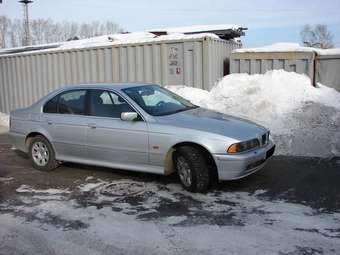 2001 BMW 5-Series Photos