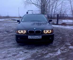 2001 BMW 5-Series Pictures