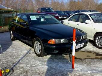 2001 BMW 5-Series Pictures