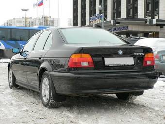 2001 BMW 5-Series Pictures