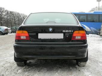 2001 BMW 5-Series Pics