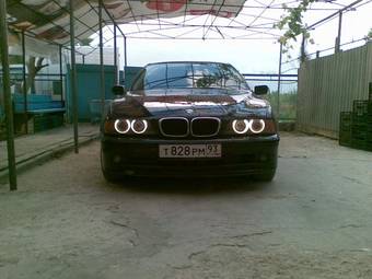 2001 BMW 5-Series Photos