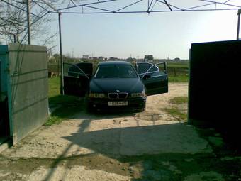 2001 BMW 5-Series Pictures