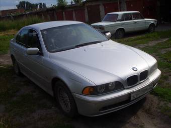 2001 BMW 5-Series Photos