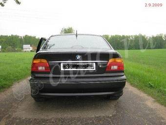 2001 BMW 5-Series Pictures