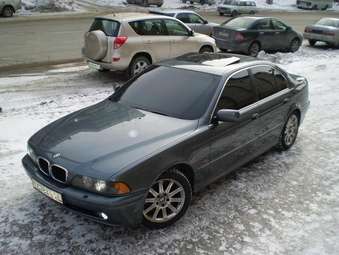 2002 BMW 5-Series Photos