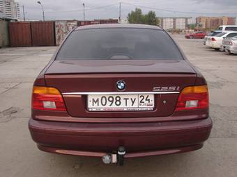 2002 BMW 5-Series Pictures