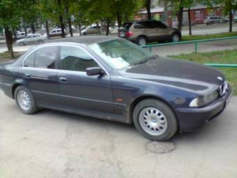 2002 BMW 5-Series Pictures