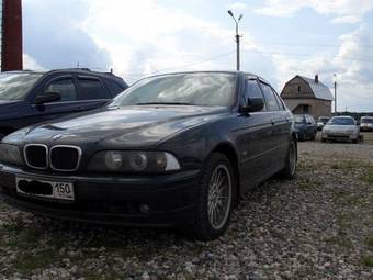 2002 BMW 5-Series Pics