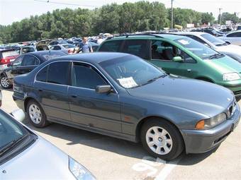 2002 BMW 5-Series Pictures