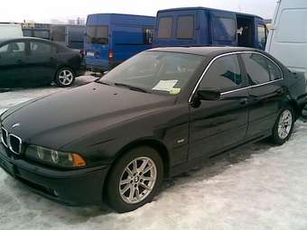 2003 BMW 5-Series Photos