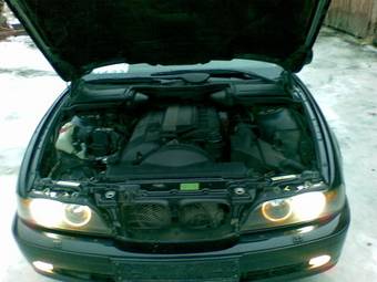 2003 BMW 5-Series Pictures