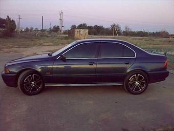 2003 BMW 5-Series Pictures