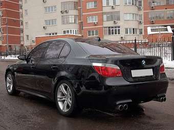2005 BMW 5-Series Pictures