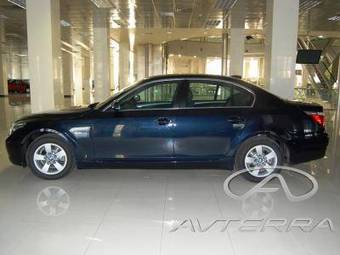 2009 BMW 5-Series Pictures