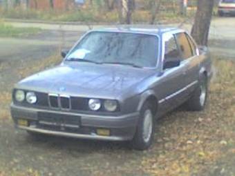 1986 BMW M3 Images