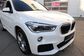 X1 II F48 xDrive 25d AT M Sport Model (231 Hp) 