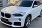 X1 II F48 xDrive 25d AT M Sport Model (231 Hp) 