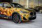 2017 BMW X2 F39 xDrive 20d AT M Sport X (190 Hp) 