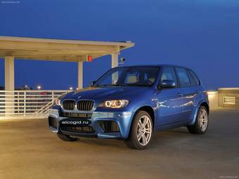 2008 BMW X5 Photos