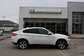 Preview 2008 BMW X6