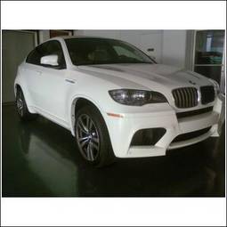 2009 BMW X6 Pictures