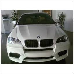 2009 BMW X6 Pictures