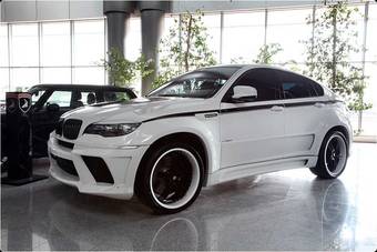 2010 BMW X6 Pictures