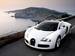 Bugatti Veyron Gallery