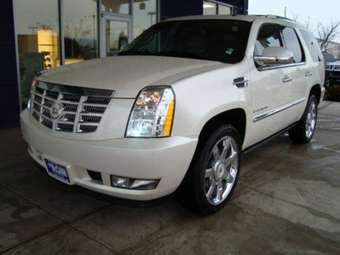 2008 Cadillac Escalade Photos