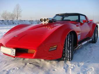 1981 Chevrolet Corvette