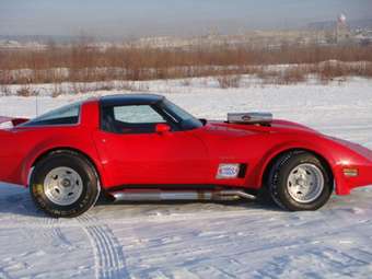 1981 Chevrolet Corvette Pictures