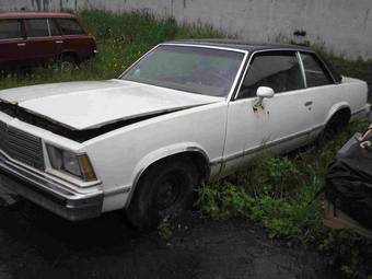 1978 Chevrolet Malibu Pictures