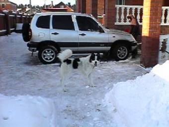 2004 Chevrolet Niva