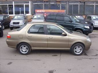 2007 Fiat Albea Pictures