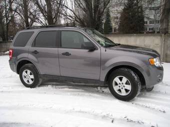 2010 Ford Escape For Sale