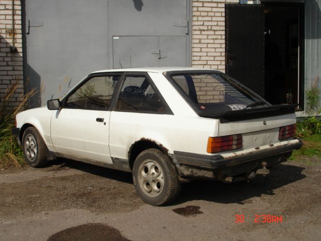 1981 Ford escort world car #3